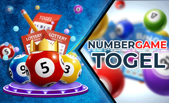 Sistem Prediksi Togel Real-Time Tanpa Koding